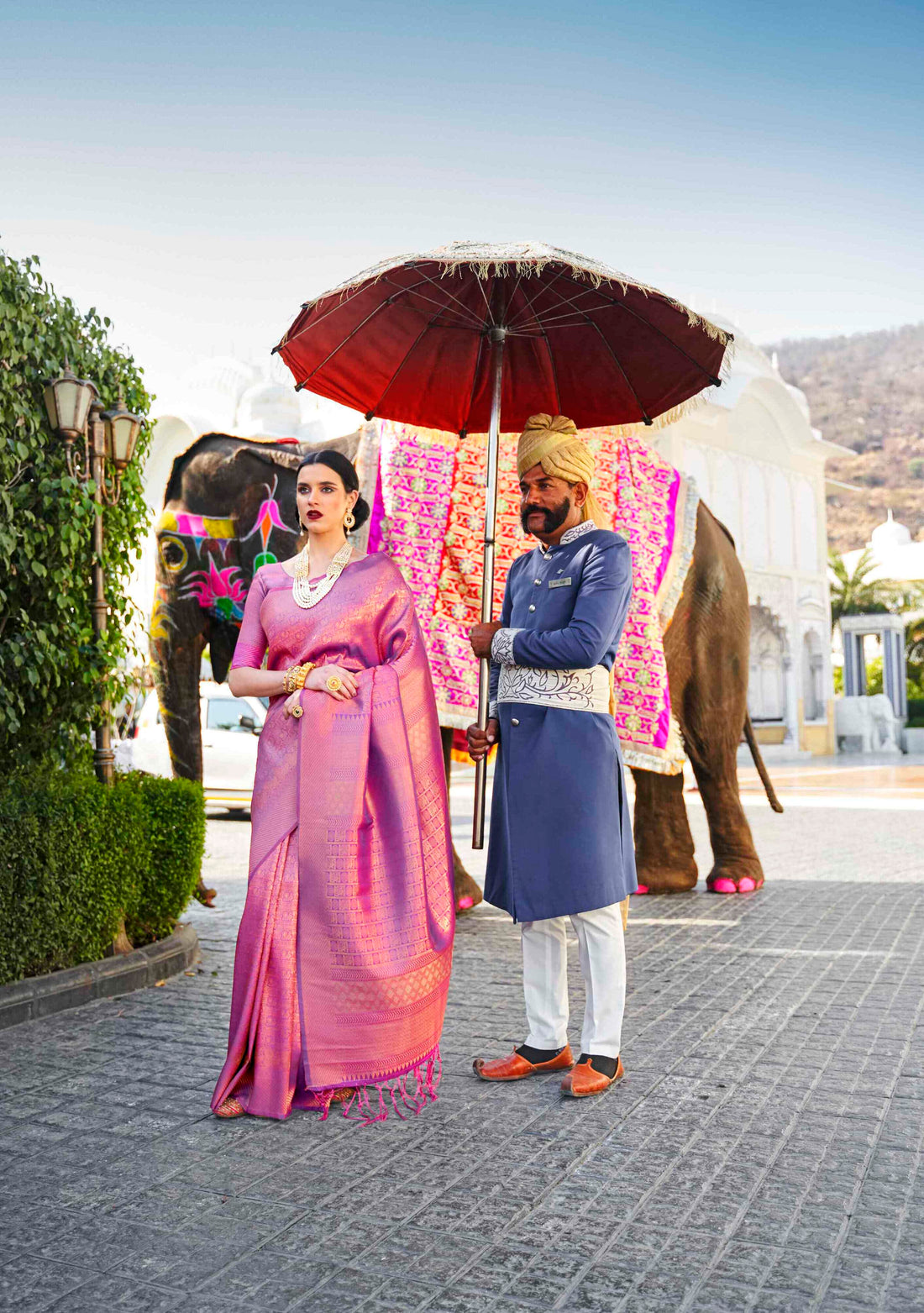 Royal Purple wine Woven Kanjivaram Saree