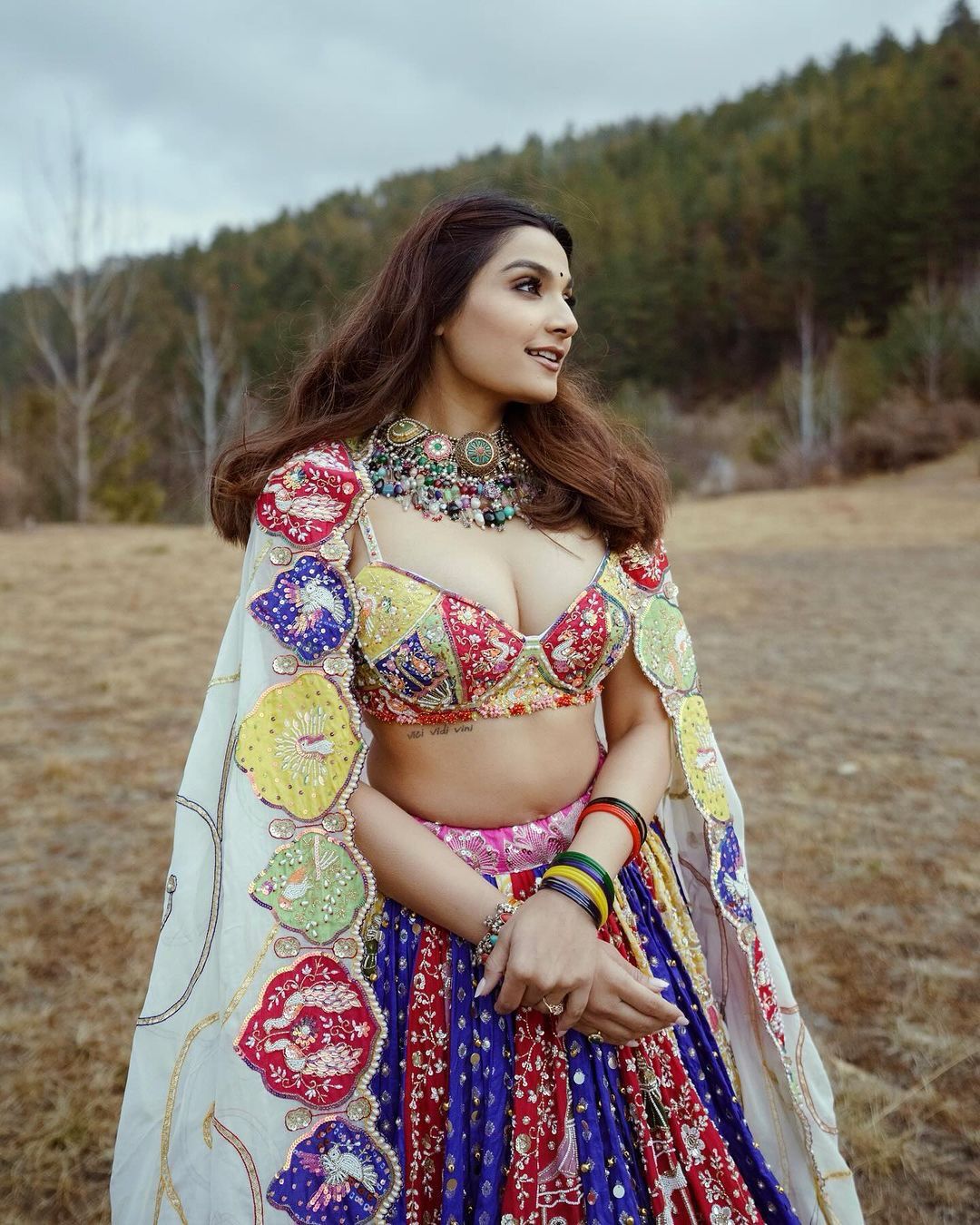 Vibrate Raas Reverie Navratri Lehenga Choli