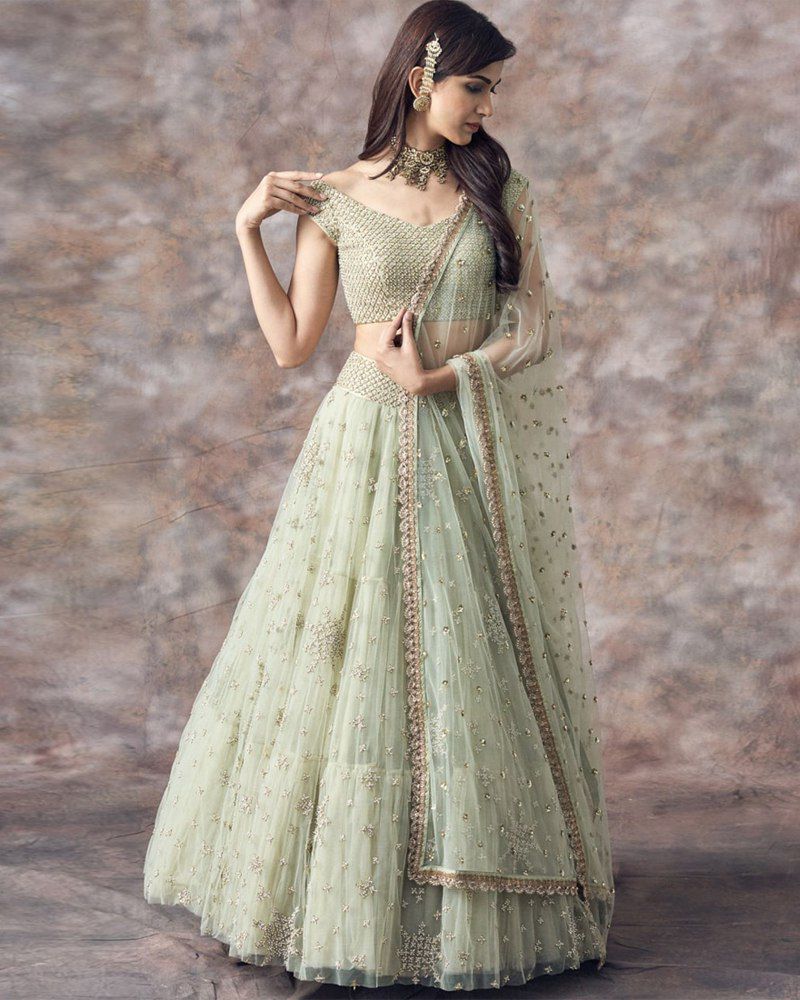 Sparkling Wingspan Lehenga Choli